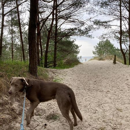Reet Am Strand Mit Hund Karlshagen Екстер'єр фото