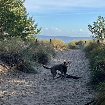 Reet Am Strand Mit Hund Karlshagen Екстер'єр фото