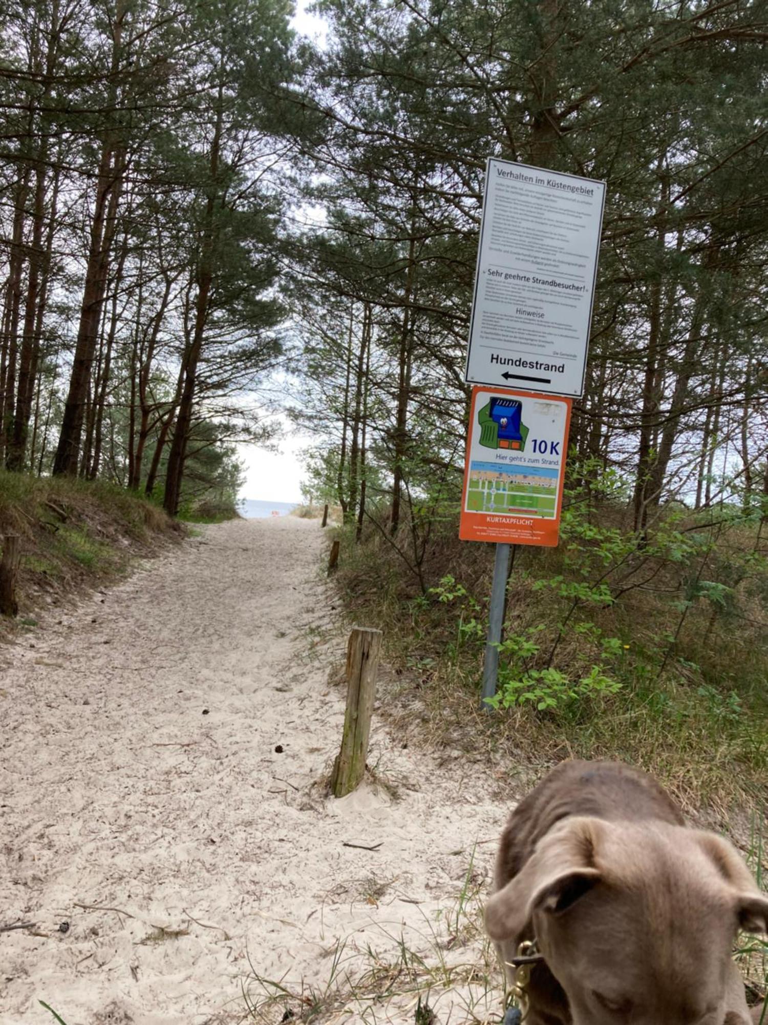 Reet Am Strand Mit Hund Karlshagen Екстер'єр фото